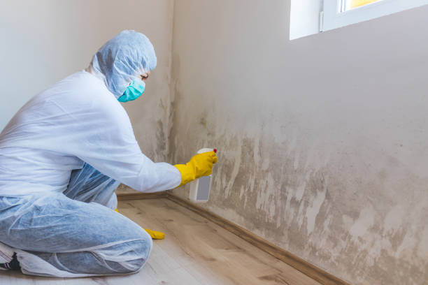 Mold Remediation specialist working in Macatawa